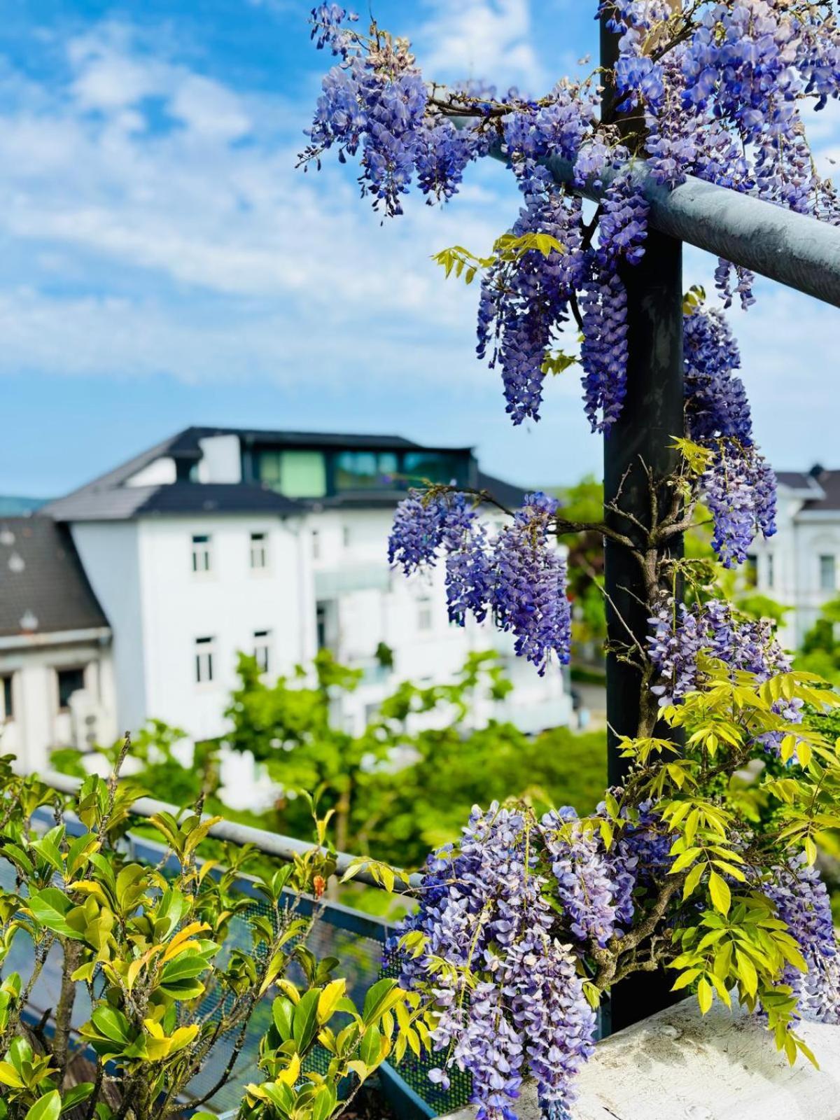 Pension Am Sueltebrunnen Bad Oeynhausen Kültér fotó